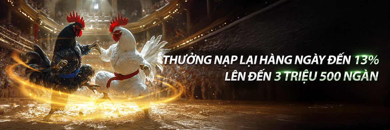Trường Gà Đặc Biệt 888 - Đá gà trực tuyến EV99
